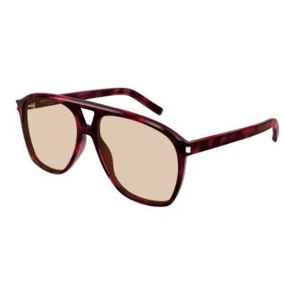 SAINT LAURENT SL 596 DUNE003 HAVANA HAVANA BROWN