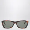 Saint Laurent Sl 613 Havana Sunglasses In Brown