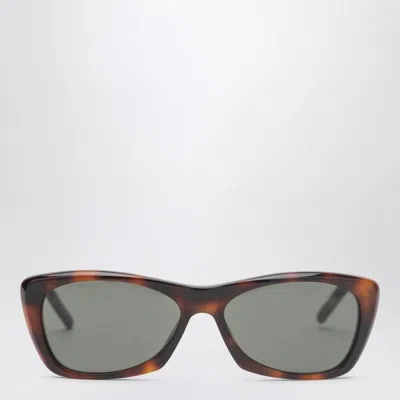 Saint Laurent Sl 613 Havana Sunglasses In Brown