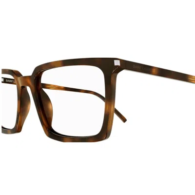 Saint Laurent Sl 624002 Havana Havana Transpa In Brown