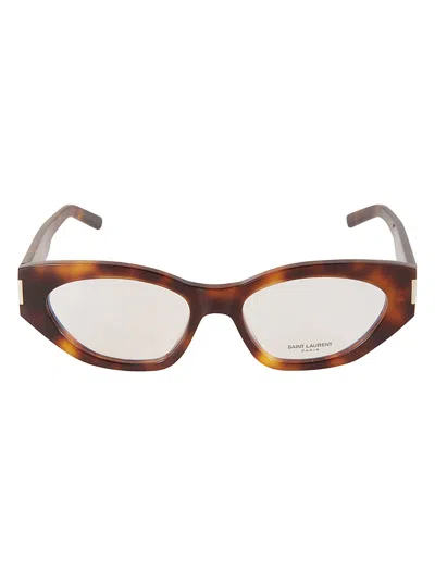 Saint Laurent Sl 638 Opt Frame In 003 Havana Havana Transpa