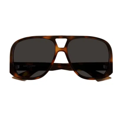 Saint Laurent Sl 652/f Solace002 Havana Havana Black