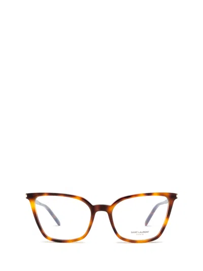 Saint Laurent Sl 669 Havana Glasses In 003 Havana Havana Transpa
