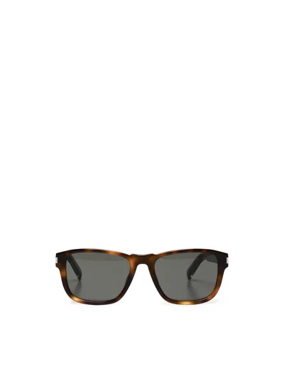 Saint Laurent Sl 710 Sunglasses In Brown, Grey