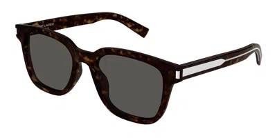 Saint Laurent Sl 711/k Asian Fit 002 Men's Sunglasses Tortoiseshell Size 54 In Brown