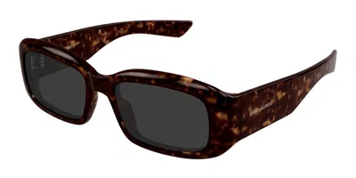 Saint Laurent Sl 809 002 Men's Sunglasses Tortoiseshell Size 55 In Brown