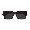 Saint Laurent Sl 810 Linea Corner Angle 002 Havana Crystal Grey Sunglasses In Brown
