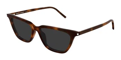 Saint Laurent Sl 889 Sulpice Thin 003 Women's Sunglasses Tortoiseshell Size 53 - Free Rx Lenses  - Free Rx Lenses In Brown