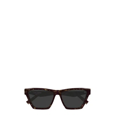 Saint Laurent Sl M103 006 Havana Cat Eye Sunglasses In Black