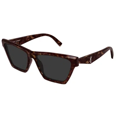 Saint Laurent Sl M103006 Havana Havana Grey In Black