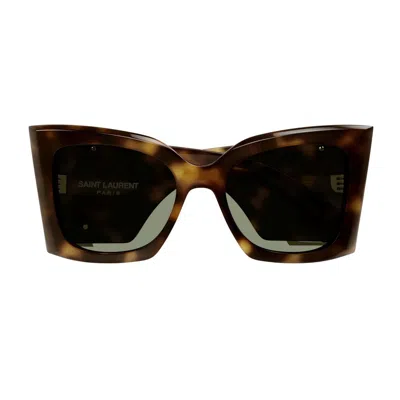 Saint Laurent Sl M119 Oversized Cat-eye Sunglasses In 002 Havana Havana Green