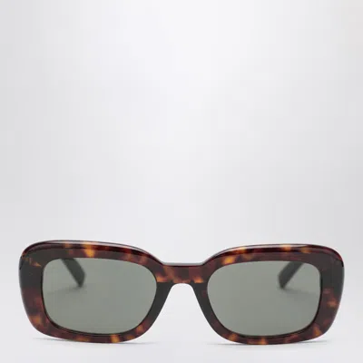 Saint Laurent Sl M130 Havana Sunglasses In Brown