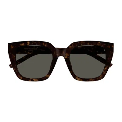 Saint Laurent Sl M143 Linea Monogram 002 Havana Grey Sunglasses In Brown