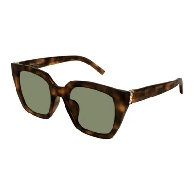 Saint Laurent Sl M143003-havana-havana-green In Brown