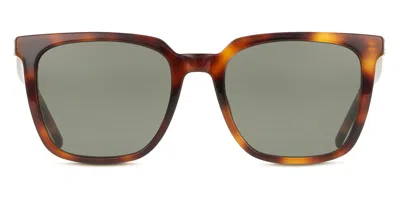 Saint Laurent Sl M146 003 Women's Sunglasses Tortoiseshell Size 54 In Brown