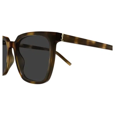 Saint Laurent Sl M146003-havana-havana-grey In Green