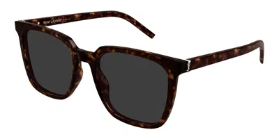 Saint Laurent Sl M146/k Asian Fit 002 Women's Sunglasses Tortoiseshell Size 56 In Brown