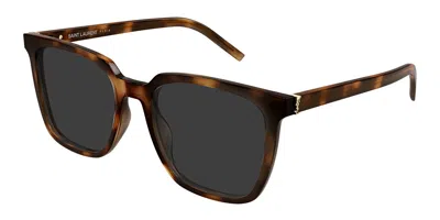 Saint Laurent Sl M146/k Asian Fit 003 Women's Sunglasses Tortoiseshell Size 56 In Brown