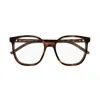 Saint Laurent Sl M155003-havana-havana-transparent In Brown