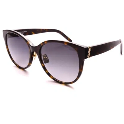 Pre-owned Saint Laurent Sl M39/k Women's Round Sunglasses Dark Havana Brand