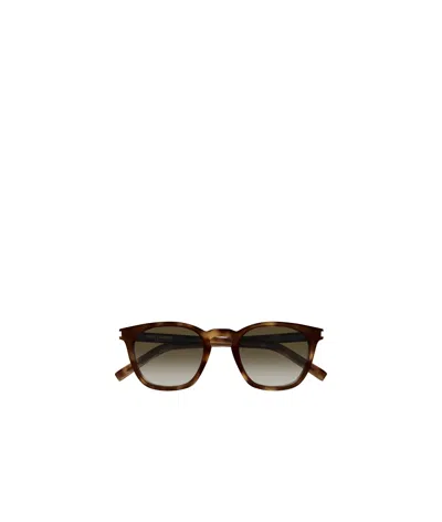 Saint Laurent Sl28 Round-frame Sunglasses In Brown