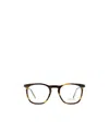 Saint Laurent Sl 623 Opt Havana Glasses In White