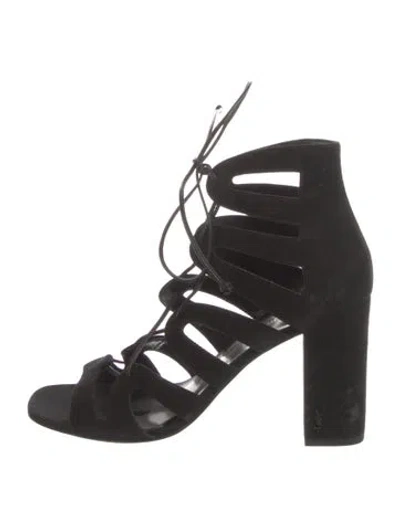 Pre-owned Saint Laurent Suede Gladiator Sandals In Black