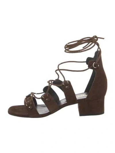 Pre-owned Saint Laurent Suede Gladiator Sandals In Brown