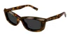 Saint Laurent Logo Acetate Cat-eye Sunglasses In Multi