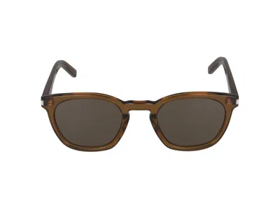 Saint Laurent Sunglasses In Brown