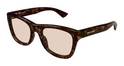 Saint Laurent Sunglasses In Brown