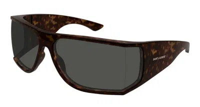 Saint Laurent Sunglasses In Brown