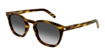 Saint Laurent Sunglasses In Brown