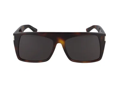 Saint Laurent Sunglasses In Havana Havana Black