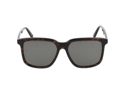 Saint Laurent Sunglasses In Havana Havana Green