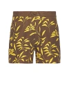 Saint Laurent Straight-leg Printed Twill Drawstring Shorts In Marron Orange