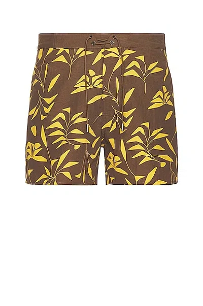 Saint Laurent Straight-leg Printed Twill Drawstring Shorts In Brown