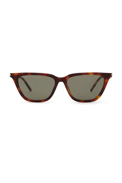 Saint Laurent Thin Acetate Cat Eye Sunglasses In Brown