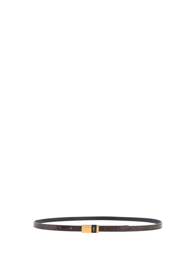Saint Laurent Thin Anchor Belt In Python In Brown