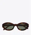 Saint Laurent Tiny Cassandre Oval Sunglasses In Brown
