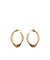 Saint Laurent Twisted Tortoiseshell Hoop Earrings In Resin In Gold