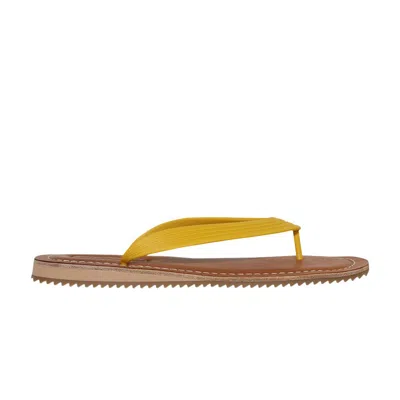 Pre-owned Saint Laurent Wmns Miu Miu Thong Sandal 'yellow' | Women's Size 41