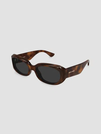 Saint Laurent Havana-havana-grey Bio Injected Sunglasses In Brown