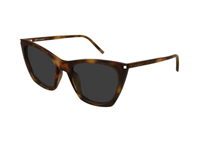 Pre-owned Saint Laurent Women's  Cat Eye Sunglasses Katethin003) In Havana/grey (sl/214