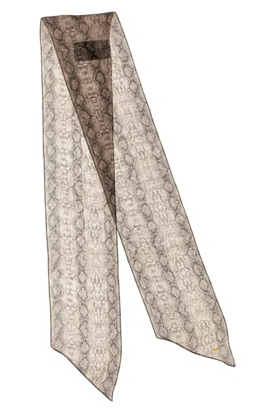 Saint Laurent Women Silk Scarf In Multicolor