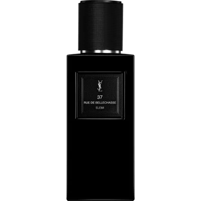 Saint Laurent Yves  37 Rue De Bellechasse In Transparent