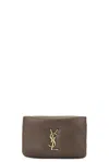 Saint Laurent Zipped Credit Card Case In Light Musk