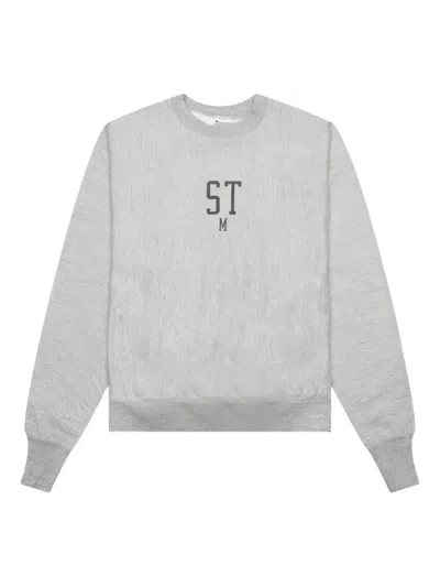 Saint Mxxxxxx Stm Longe-sleeves Sweater In Gray