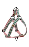 Saint Rue Le Classic Dog Harness In Pink