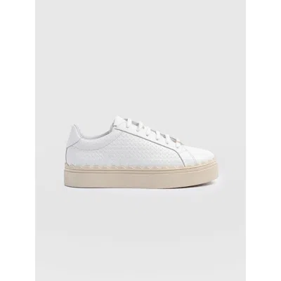 Saint + Sofia Brook Scallop Sneaker In White